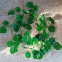 ریسه برگ ۱متر