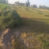 فروش زمین کشاورزی در کهنوج