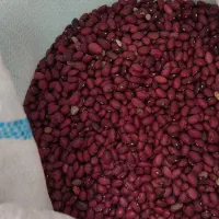 لوبیاقرمز|خوردنی و آشامیدنی|پاسارگاد, |دیوار