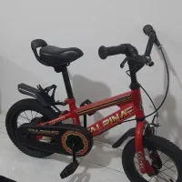 دوچرخه ۱۲ مارک آلپینا