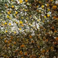 گل بابونه خشک