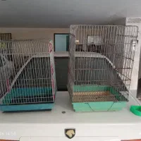 قفس پرنده عروس