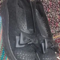 کفش مجلسی