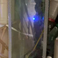 اکواریم یک متری