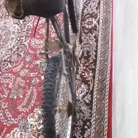 دوچرخه 26|دوچرخه، اسکیت، اسکوتر|قوچان, |دیوار