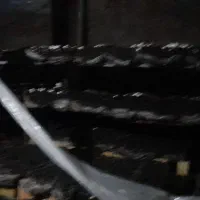 کمپوست قارچ