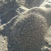 تفاله چغندر