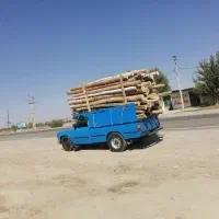 خرید چوب خشک قیمت بروز خریدار هستم|فعالیت داوطلبانه تحقیقاتی|مشگین شهر, |دیوار