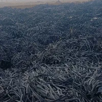 نوارطیف خریدار