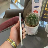 Samsung A56 256/12|موبایل|نیشابور, فردوس شمالی|دیوار