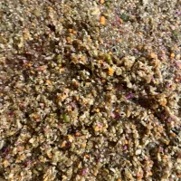 ترشی و سرمه تازه و خوشمزه|خوردنی و آشامیدنی|امیرآباد, |دیوار