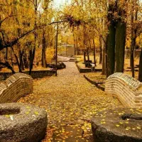 برنامه طبیعت گردی یک روزه تویسرکان(بیشه سرکان)