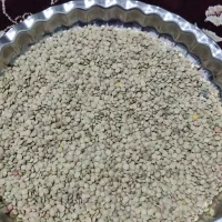 فروش عدس خوشپخت وخوشمزه پهن مختار