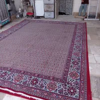 فرش|فرش|قم, باغ شریفی|دیوار