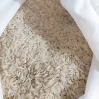 برنج شمالی