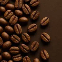 فروش و پخش قهوه و پودریجات مستقیما از رستری