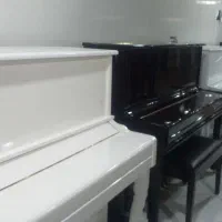 فروش پیانوهای دیجیتال و آکوستیک با شرایط خاص|پیانو، کیبورد، آکاردئون|شیراز, دینکان|دیوار