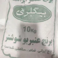 برنج درجه یک شوشتر