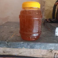 عسل طبیعی کیفیت بالا|خوردنی و آشامیدنی|شاهین دژ, |دیوار