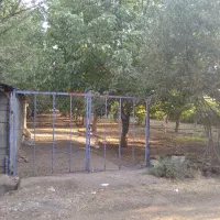 جذب سرمایه گذار برای تالار