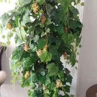 درختچه مصنوعی انگور|گل مصنوعی|کرج, عظیمیه|دیوار