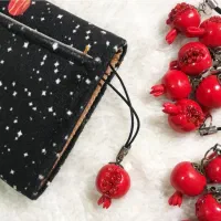 اویز فلش وموبایل