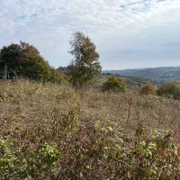 فروش زمین باغی