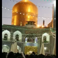 آسودگی خیال را با خود به خوراک ببرید 'اقساطی