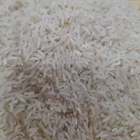 برنج فجر نازمکان