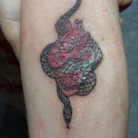 اموزش وخدمات میکرو وریمور وتاتو بدن وپاکسازی