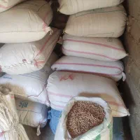 نخود درجه یک برای تخم|عمده‌فروشی|خزل, |دیوار