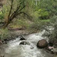 ۲۵۰متری قیمت ۷۵۰میلیون تومان