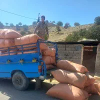 کاه و یونجه