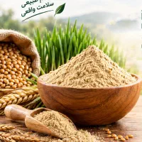 فروش پودر جوانه گندم با تولید مکانیزه و کیفیت بالا