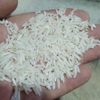 هاشمی  نوک سیاه پرمحصول ونیم دانه