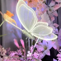 آباژور پروانه مناسب مزون