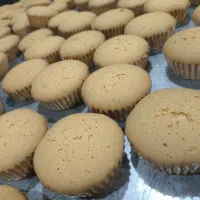 درخواست نیروی کار برای کار در خشکه پزی(کلوچه پزی)