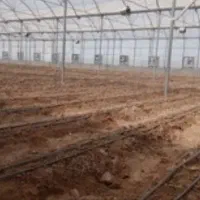 6000متر-زمین-گلخانه-ای