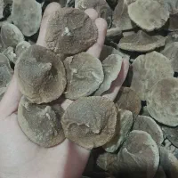 قوروت گوسفندی
