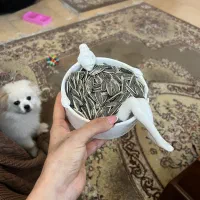 دو عدد فرش شش متری