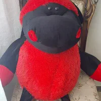 عروسک پولیشی|اسباب‌‌بازی|قزوین, |دیوار