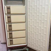 فریزر باکنش