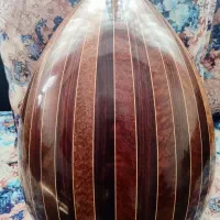 عود حرفه‌ای