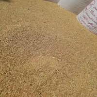 گندم
