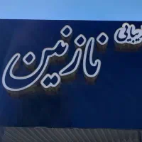 سالن نازنین فرومندی بین ۱۱و۱۳ میکاپ عروس فقط  ۹