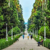 مشارکت در ساخت از ۲۰۰ تا هکتاری