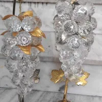 یک جفت انگور تزئینی زیبا