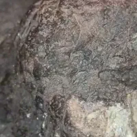 شهاب سنگ|کلکسیون اشیاء عتیقه|کرمانشاه, |دیوار