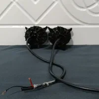 یک جفت جغدی قوی دورنگ