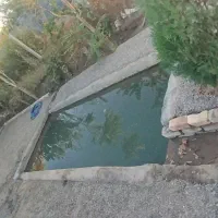 لنگرود